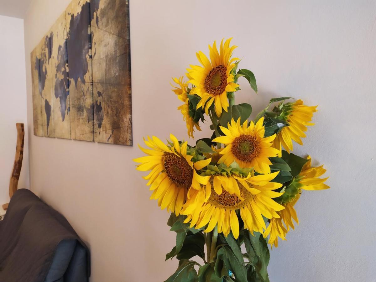 La Dolce Agogia Apartman Assisi Kültér fotó
